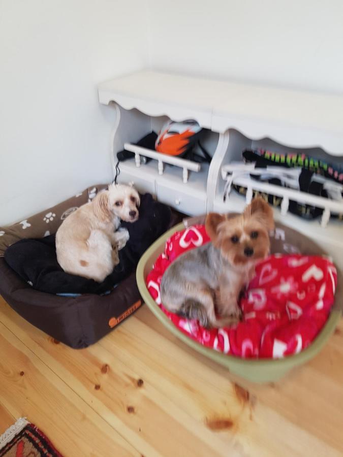Csaladi Haz Apartment Budapest Bagian luar foto